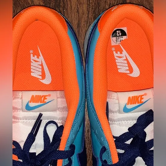 Nike dunk size 12