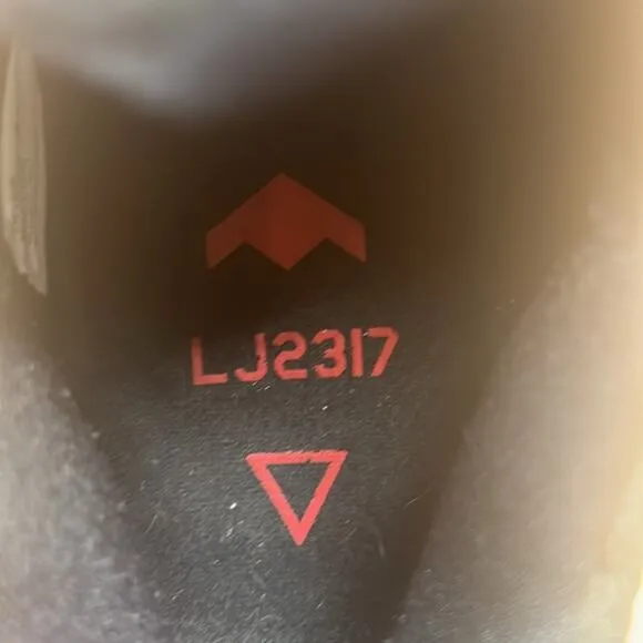 NIKE LE BRON 17 LOW BRED SHOES