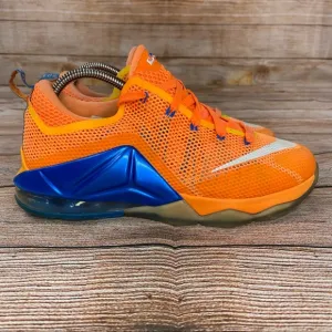 Nike Lebron Low Basketball Shoes Youth Size 7 Athletic Shoes - Lebron James