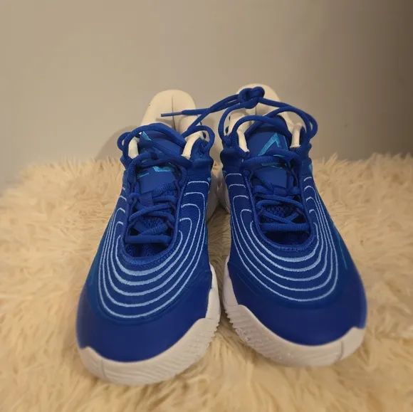 Nike Size 7.5 Men Nike Giannis Immortality 4 Shoes Blue FQ3680-400