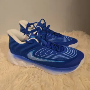 Nike Size 7.5 Men Nike Giannis Immortality 4 Shoes Blue FQ3680-400