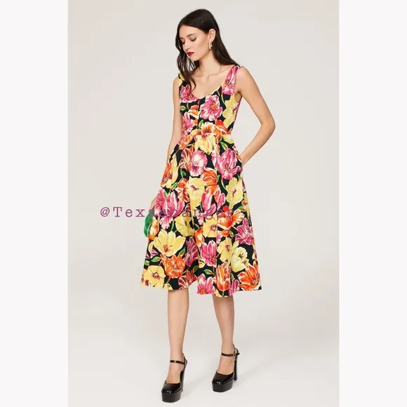 NWT Kate Spade Painted Tulips Grace Dress Size 6