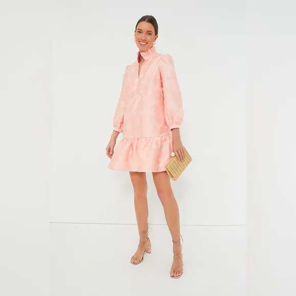 NWT Tuckernuck Bellini Fil Coupé Palmerston Dress M Pink Ruffle Mini Retail $228