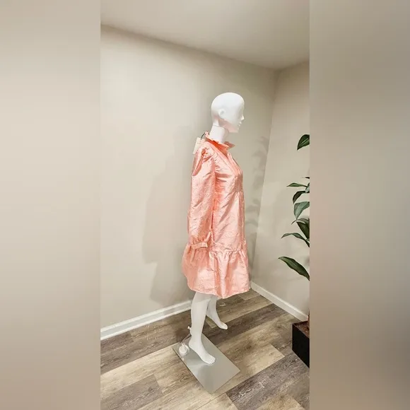 NWT Tuckernuck Bellini Fil Coupé Palmerston Dress M Pink Ruffle Mini Retail $228