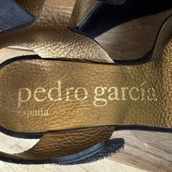 Pedro Garcia Black Genuine Suede Peep Toe Ankle Strap Platform Wedge Sandal