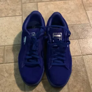 Puma man shoes sz 8 (fits women 9.5).