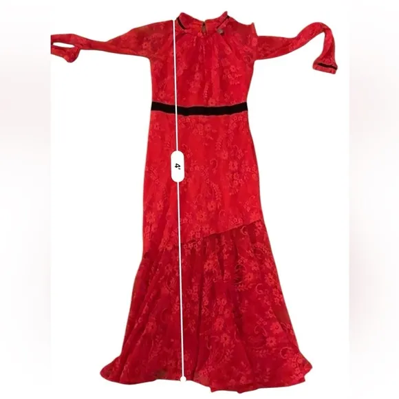 RTR‎ Three Floor Split Tease Red Floral Lace Long Sleeve Midi Dress Sz 4