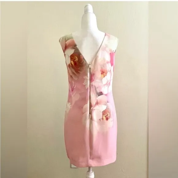 Ted Baker Damona Rose On Canvas Sleeveless Pink Floral Mini Dress