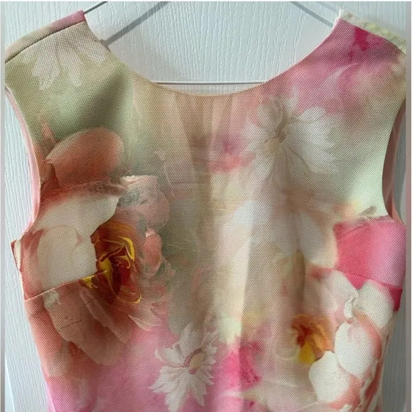Ted Baker Damona Rose On Canvas Sleeveless Pink Floral Mini Dress