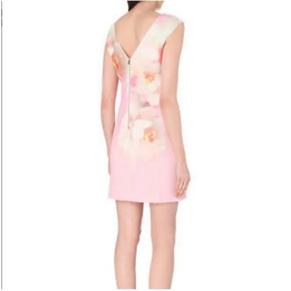 Ted Baker Damona Rose On Canvas Sleeveless Pink Floral Mini Dress