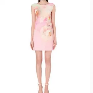 Ted Baker Damona Rose On Canvas Sleeveless Pink Floral Mini Dress