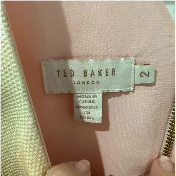 Ted Baker Damona Rose On Canvas Sleeveless Pink Floral Mini Dress
