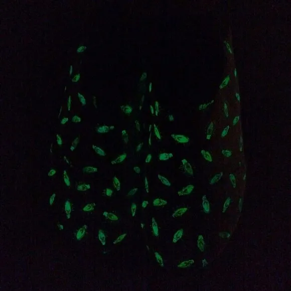 TOMS CHRISTMAS Birch Rodeo Glow in the Dark Holiday Men's Shoes