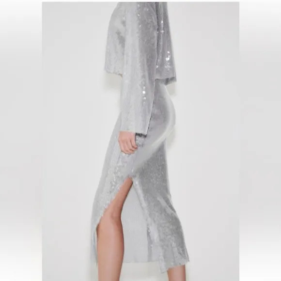 Zara * Sequin Midi Skirt  Size S